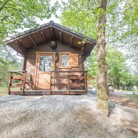 In The Middle Of The Woods Near Vakantiehuis Durbuy