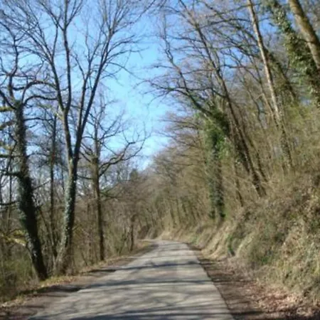 In The Middle Of The Woods Near Vakantiehuis *